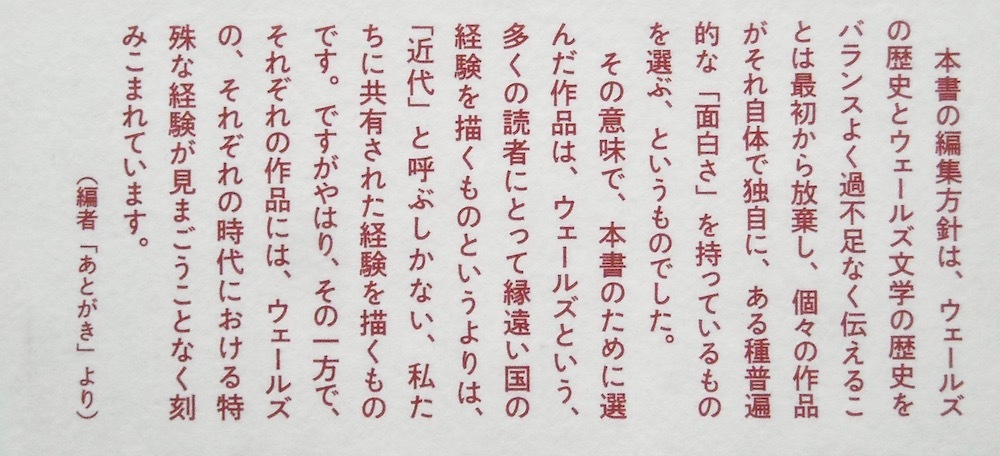 ■『暗い世界　ウェールズ短編集』河野真太郎編　堀之内出版_画像3