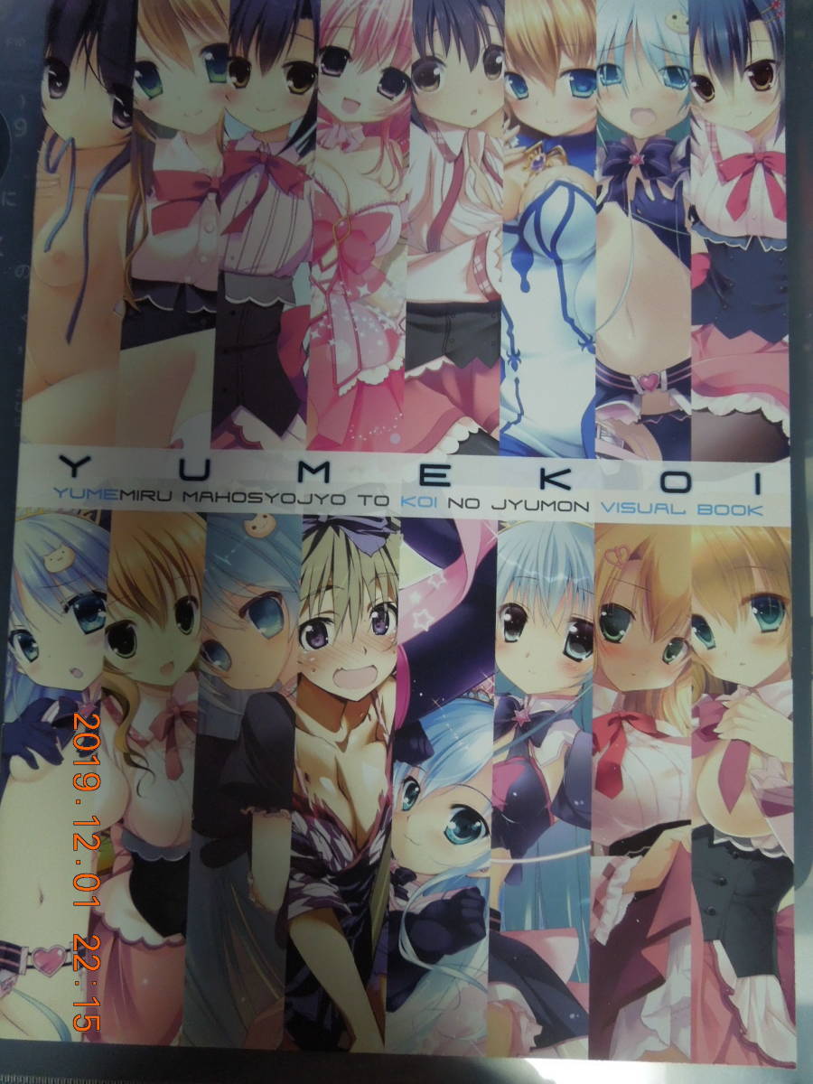 ヤフオク ゆめこい Visual Book ちこたむ いずみゆひな ヤフオク ゆめこい Visual Book ちこたむ いずみゆひな