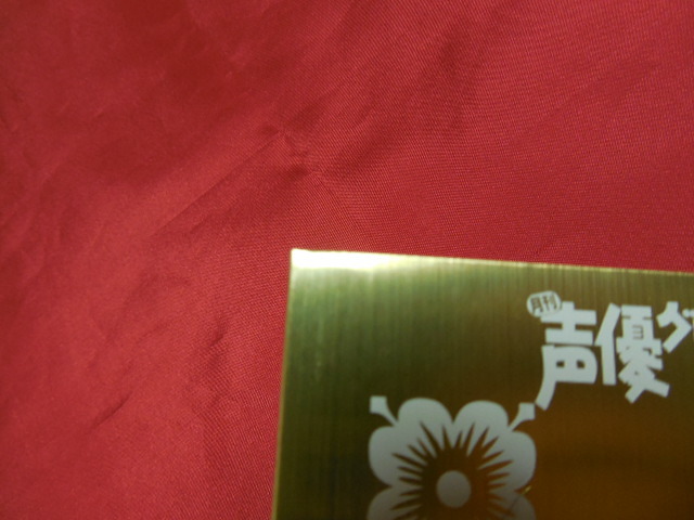 テレカ 飯塚雅弓 月刊声優グランプリ 金色 台紙付 50度数 未使用_多少のイタミがございます