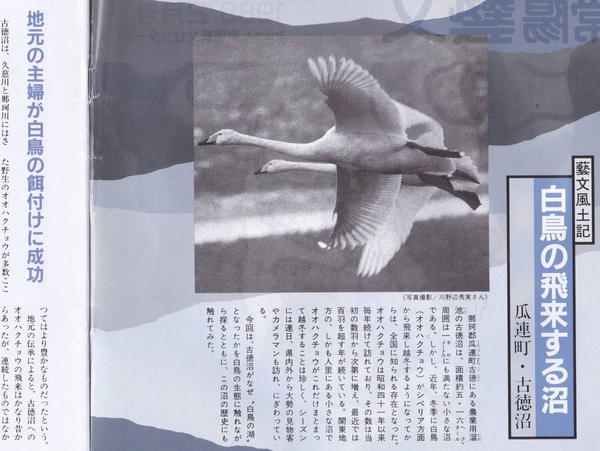 *... writing no. 69 number swan. .. make marsh hing = Ibaraki prefecture Naka district . ream block old virtue marsh hing * agriculture for ..* migration bird * large ..* old virtue castle ... mountain etc. Ibaraki prefecture wild bird materials booklet 