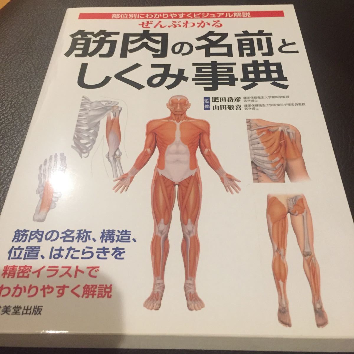 Paypayフリマ ぜんぶわかる筋肉の名前としくみ事典 Paypayフリマ ぜんぶわかる筋肉の名前としくみ事典