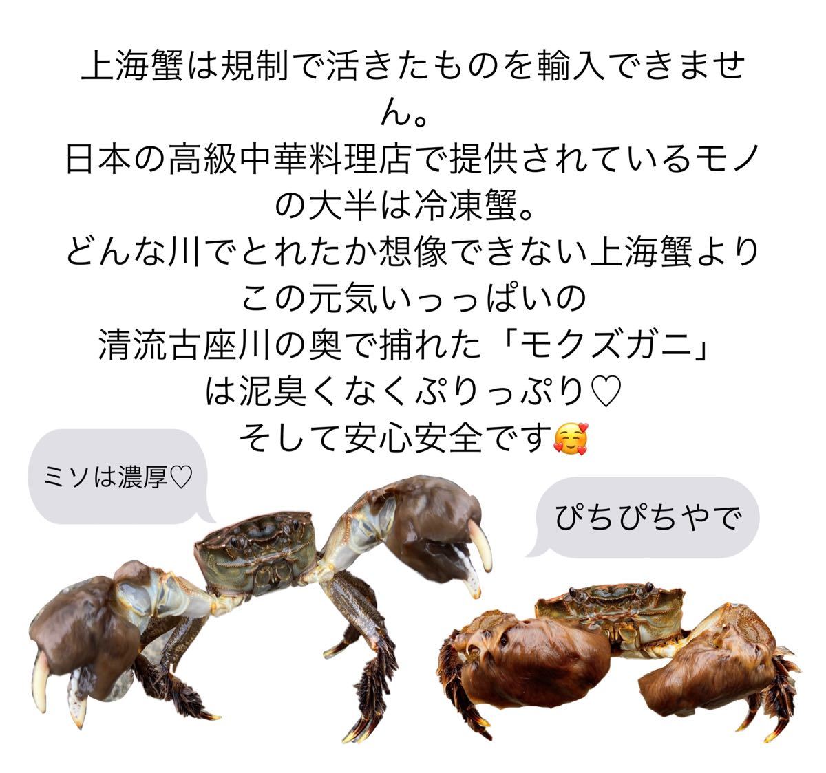 Paypayフリマ モクズガニ 1キロ 10匹前後 Paypayフリマ モクズガニ 1キロ 10匹前後