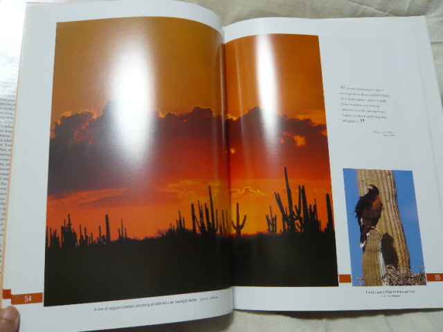 〇即決！洋書写真集 「Arizona on My Mind (America on My Mind)」 ハードカバー Collective(著）1996年初版 120頁アリゾナ自然風景写真集_画像8