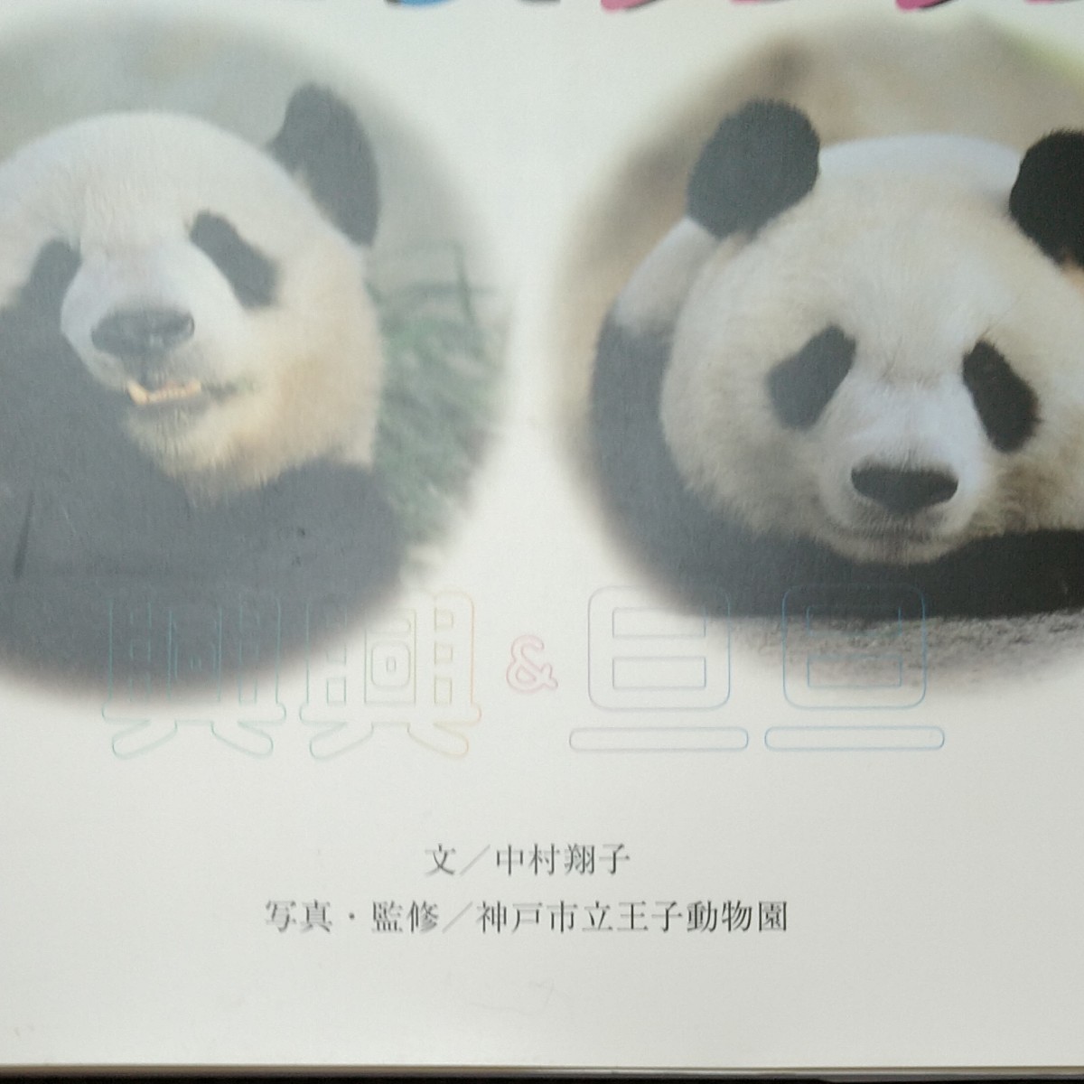 Paypayフリマ タンタンとコウコウ パンダ 写真集 王子動物園 Paypayフリマ タンタンとコウコウ パンダ 写真集 王子動物園