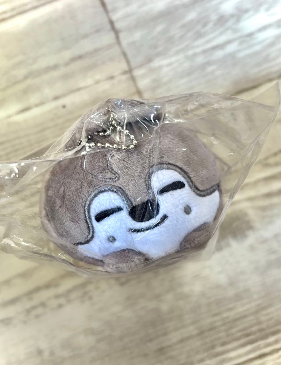 バンチャン ウルフチャン うちわ バッグチャーム 他 グッズ まとめ売り Amazon.co.jp: straykids バンチャン ウルフチャン ペンミ バッグ