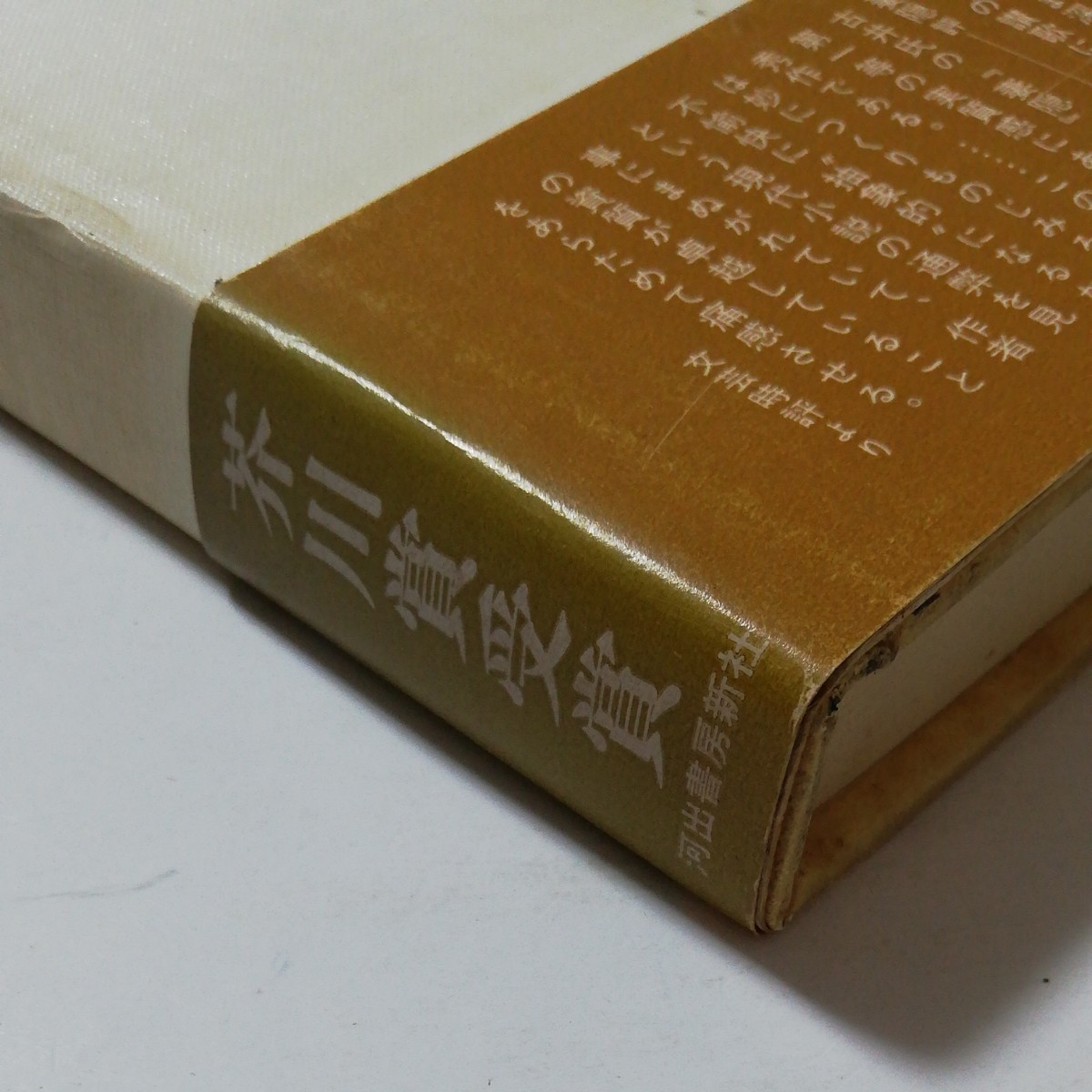 芥川賞☆古井由吉『杳子　妻隠』河出書房新社