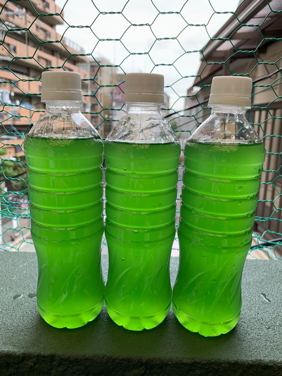 Paypayフリマ グリーンウォーター 1500ml 水草30株 メダカ アクアリウム Paypayフリマ グリーンウォーター 1500ml 水草30株 メダカ アクアリウム