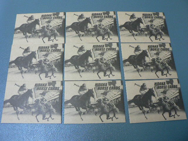 9枚セット 新品 未開封 HIDAKA HORSE CARDS 日高 ホース カード 馬 HIDAKAHORSECARDS 競馬　トレカ 競走馬　A
