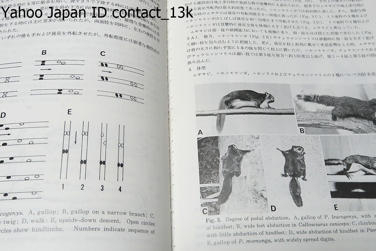哺乳類科学・合本7冊/哺乳類研究グループ・日本哺乳類学会/日本 哺乳類科学・合本7冊/哺乳類研究グループ・日本哺乳類学会/日本