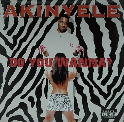 AKINYELE/DO YOU WANNA?_画像1