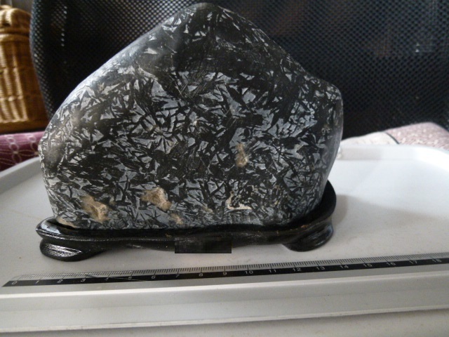 ヤフオク 竹葉石 模様は人口かも 約950g 台座付 ヤフオク 竹葉石 模様は人口かも 約950g 台座付