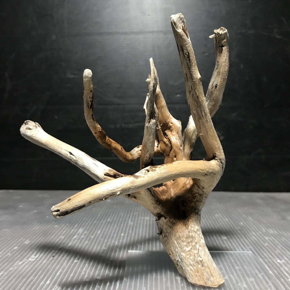ヤフオク Sea Tree アクリル板施工済みブランチ流木 3流 ヤフオク Sea Tree アクリル板施工済みブランチ流木 3流