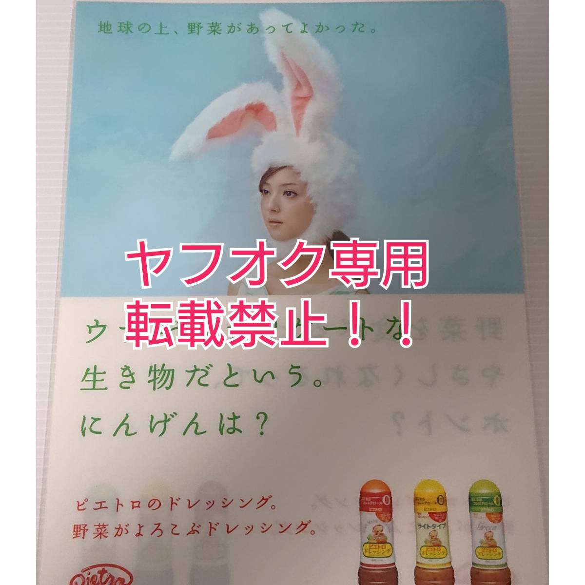 ヤフオク 未使用品 佐々木希 クリアファイル ピエトロ ピ ヤフオク 未使用品 佐々木希 クリアファイル ピエトロ ピ