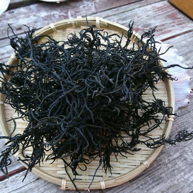 Paypayフリマ 漁師直送 国産 新物 天然 ひじき ヒジキ 100グラム 伊豆産 自家製 Paypayフリマ 漁師直送 国産 新物 天然 ひじき ヒジキ 100グラム 伊豆産 自家製