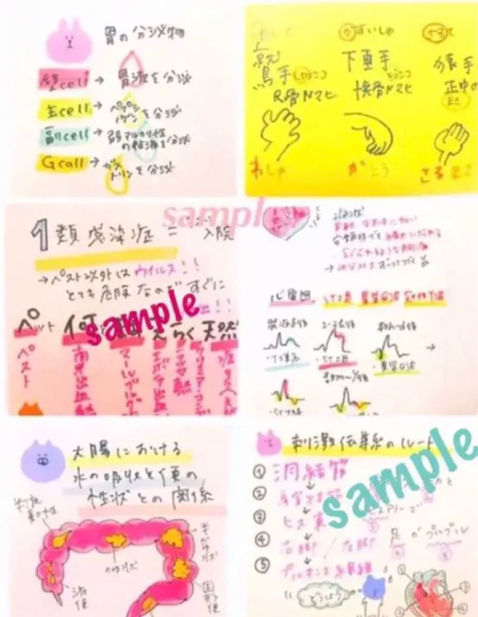 看護師国家試験 付箋&解剖生理ノート|Yahoo!フリマ(旧PayPay 看護師国家試験 付箋&解剖生理ノート|Yahoo!フリマ(旧PayPay