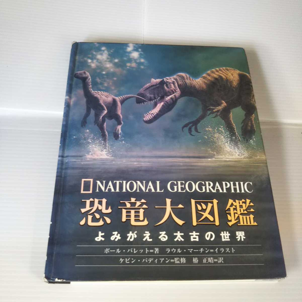 2113 dinosaur large illustrated reference book 