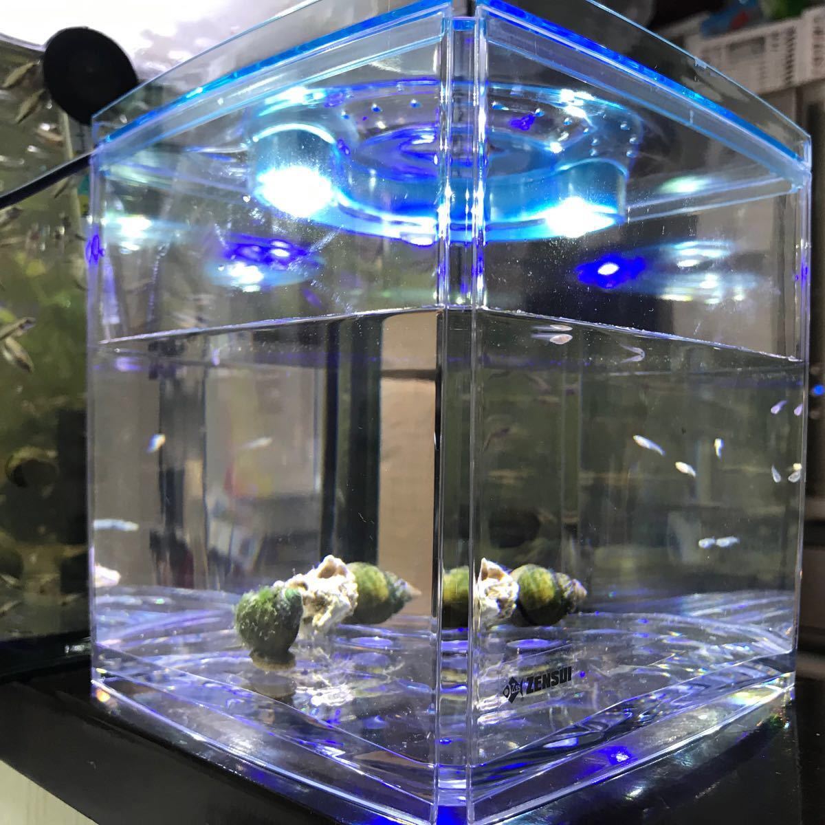Paypayフリマ ライティキューブled付き小型水槽 ブラック 新品未開封 Paypayフリマ ライティキューブled付き小型水槽 ブラック 新品未開封