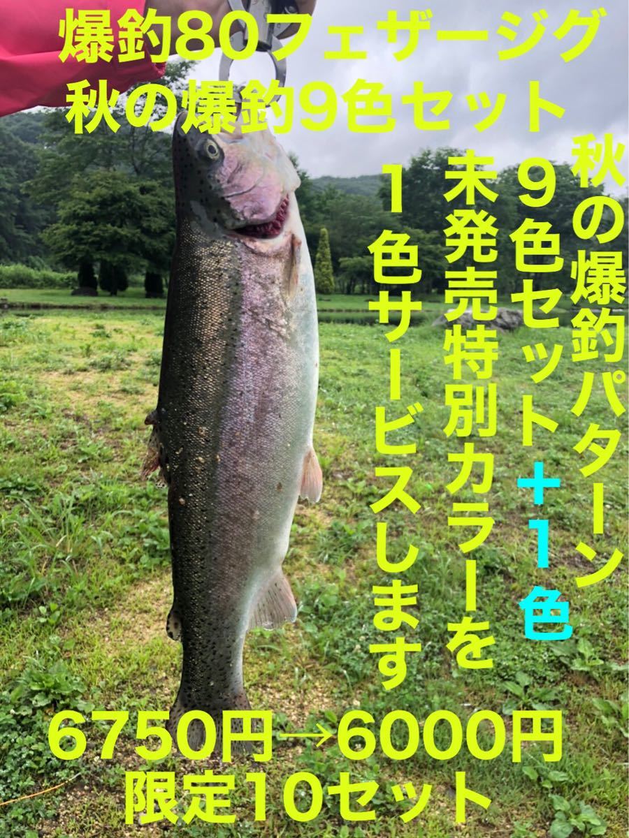 Paypayフリマ 80フェザージグ 秋の爆釣フェザージグ 初心者でも大物が釣れるルアー 10種類 Paypayフリマ 80フェザージグ 秋の爆釣フェザージグ 初心者でも大物が釣れるルアー 10種類