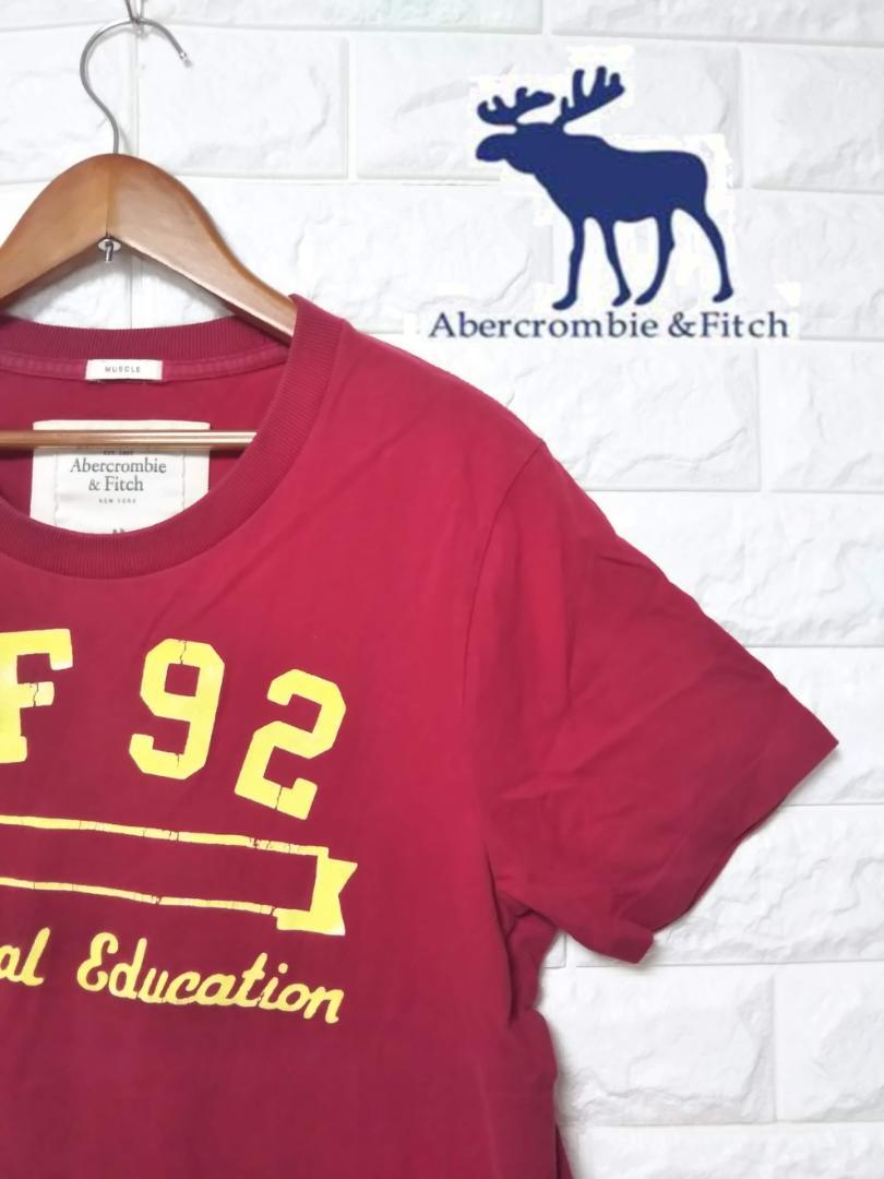 Abercrombie&Fitch アバクロ Tシャツ Ｍ　SS1289