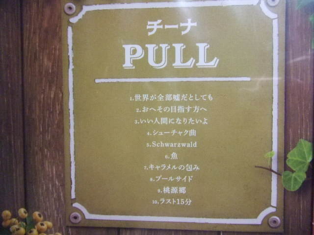 新品CD★PULL/チーナ　 CHI-NA　★8枚同梱送料100円　　ち_画像4