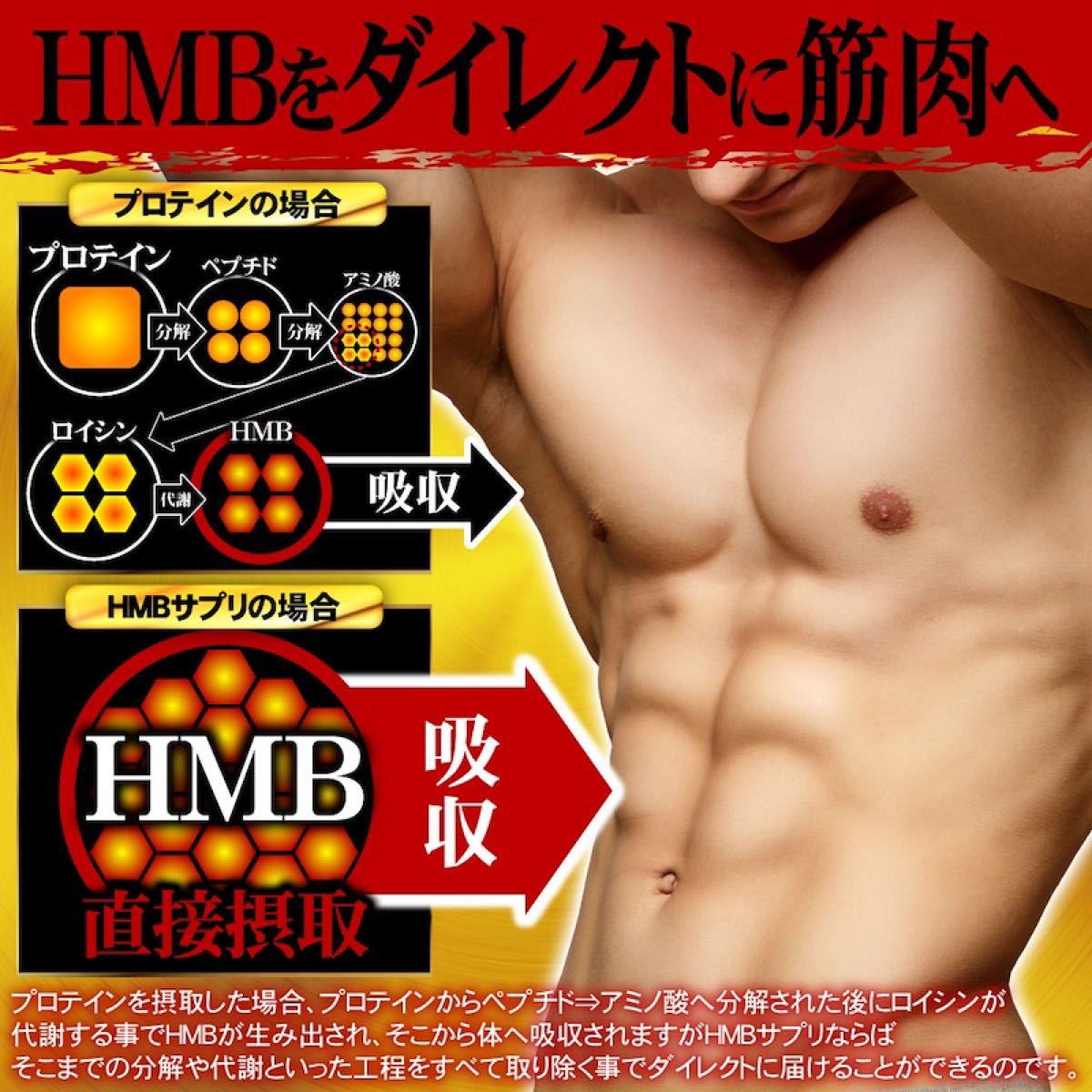 プロも愛用！高級HMB マッスルサプリ ダイエット極ボディ ファイラ 鍛神検討