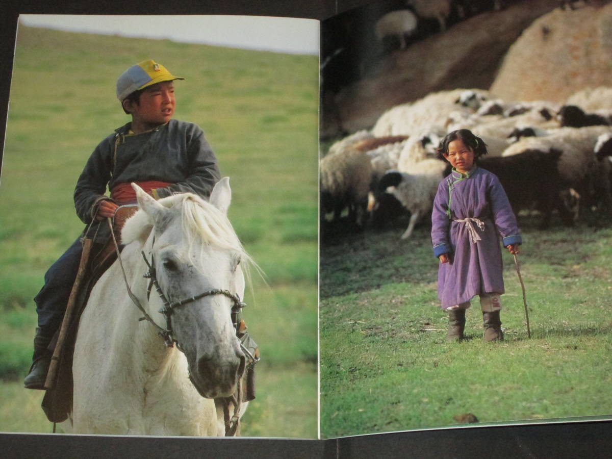 ヤフオク 白い馬 映画 パンフレット 椎名誠 監督 ホネ ヤフオク 白い馬 映画 パンフレット 椎名誠 監督 ホネ