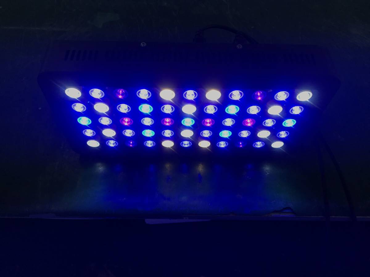 海水 Ledの値段と価格推移は 304件の売買情報を集計した海水 Ledの価格や価値の推移データを公開 海水 Ledの値段と価格推移は 304件の売買情報を集計した海水 Ledの価格や価値の推移データを公開