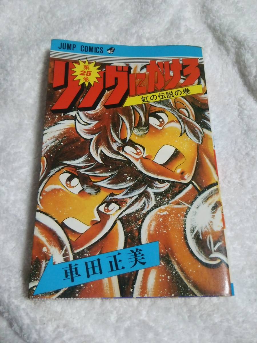 ヤフオク 初版 リングにかけろ 25巻 最終巻 車田正美 ヤフオク 初版 リングにかけろ 25巻 最終巻 車田正美