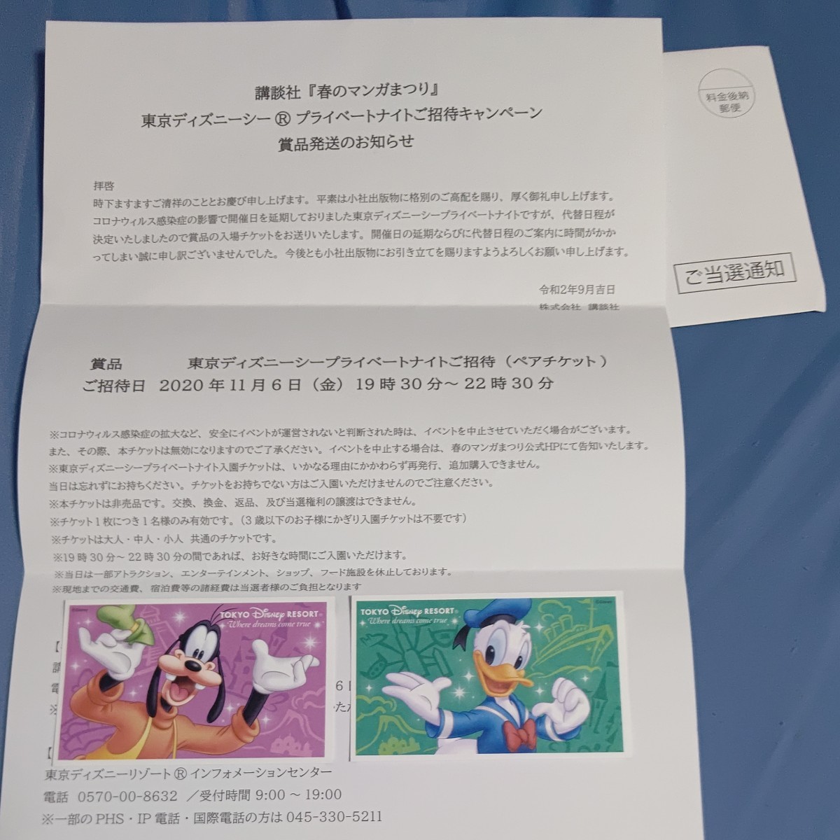 Paypayフリマ 東京ディズニーシープライベートナイトペアチケット