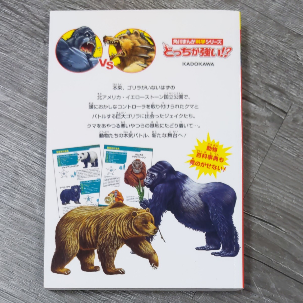 Paypayフリマ どっちが強い ゴリラvsクマ Paypayフリマ どっちが強い ゴリラvsクマ