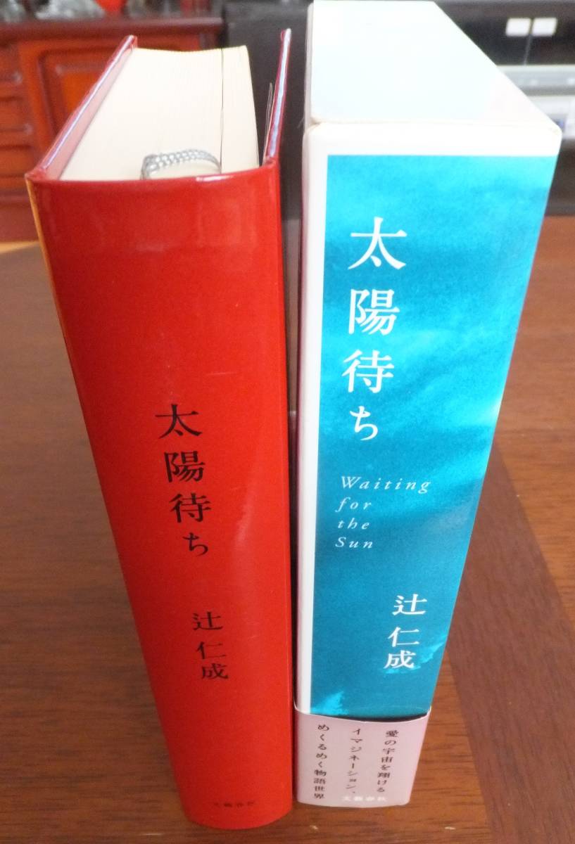 太陽待ち　辻仁成　2001年初版　函・帯　文藝春秋_画像2