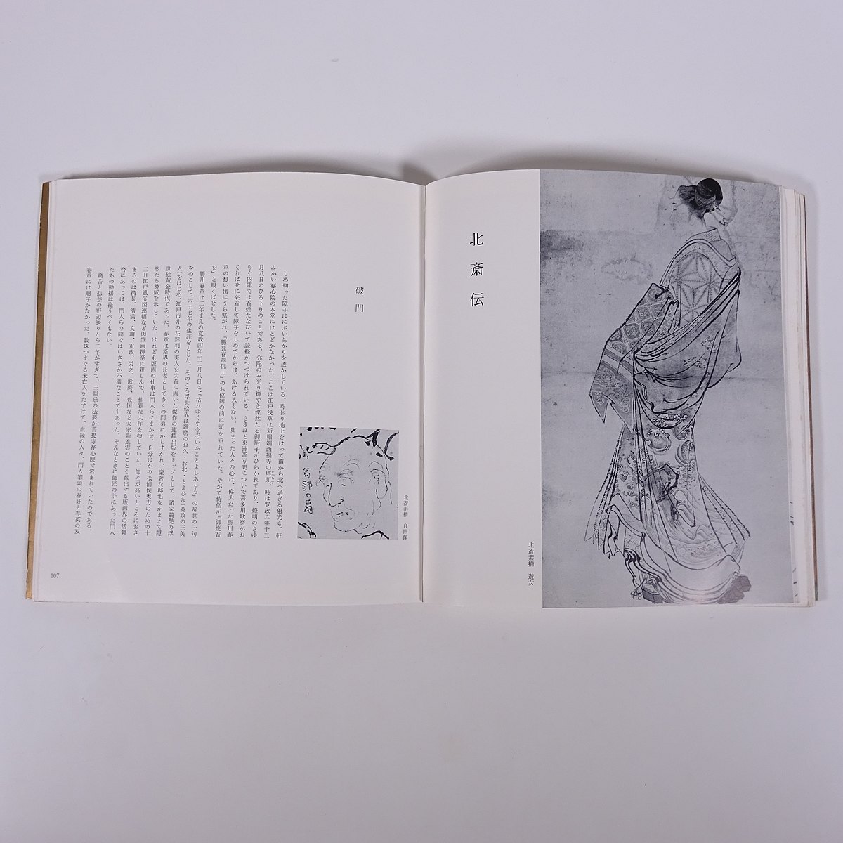 ヤフオク 俳画漫画風俗画 楢崎宗重 北斎と広重8 講談社 19 ヤフオク 俳画漫画風俗画 楢崎宗重 北斎と広重8 講談社 19
