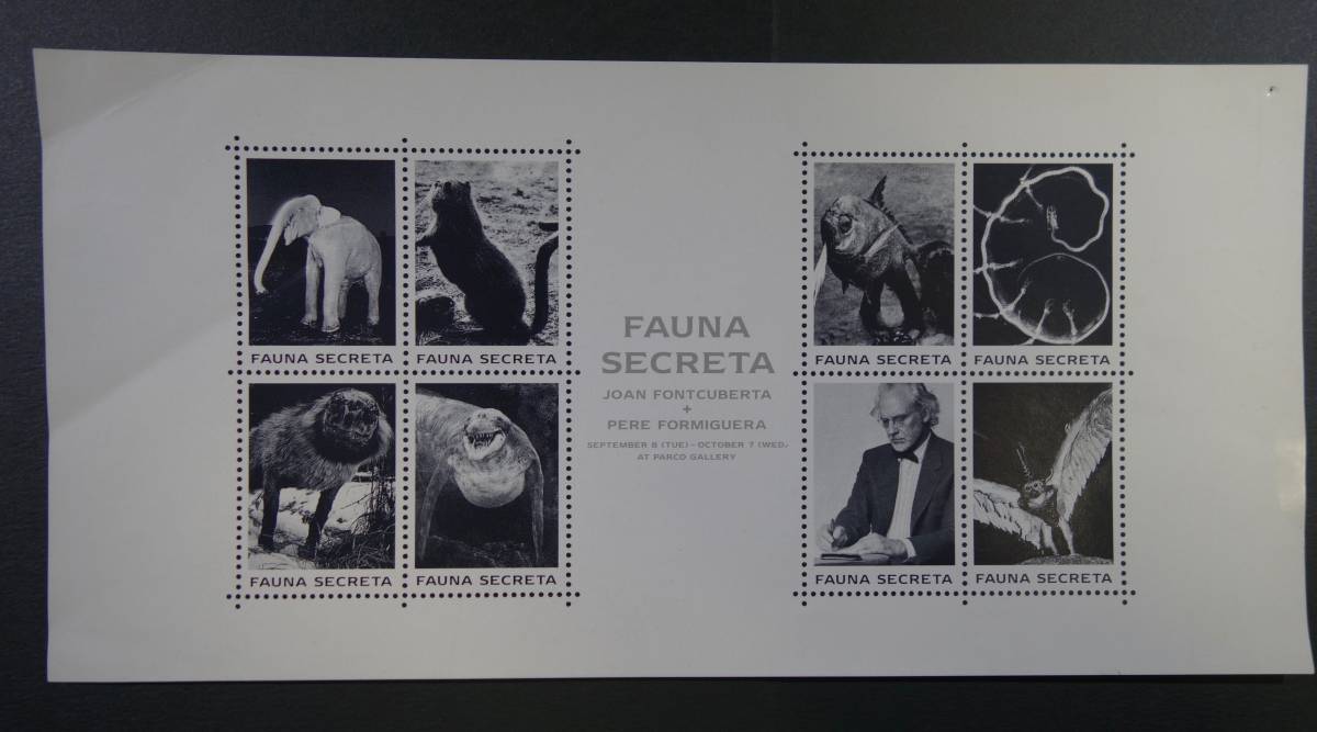 ヤフオク 写真シール 秘密の動物誌 Fauna Secreta ジョア ヤフオク 写真シール 秘密の動物誌 Fauna Secreta ジョア