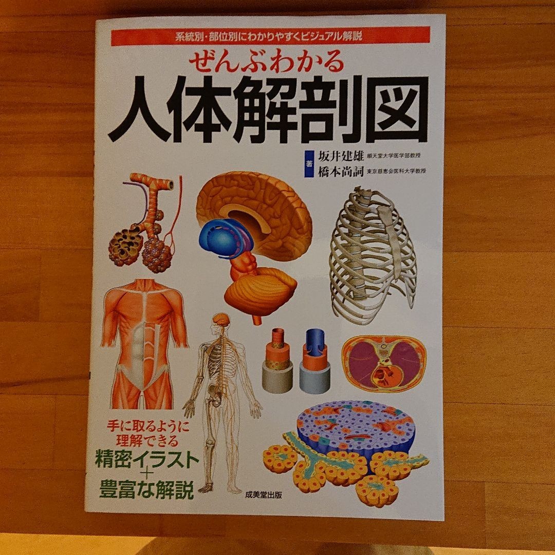 ぜんぶわかる 「人体解剖図」系統的 部位的にわかりやすく ビジュアル解説｜PayPayフリマ