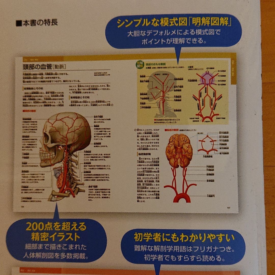 Paypayフリマ ぜんぶわかる 人体解剖図 系統的 部位的にわかりやすく ビジュアル解説