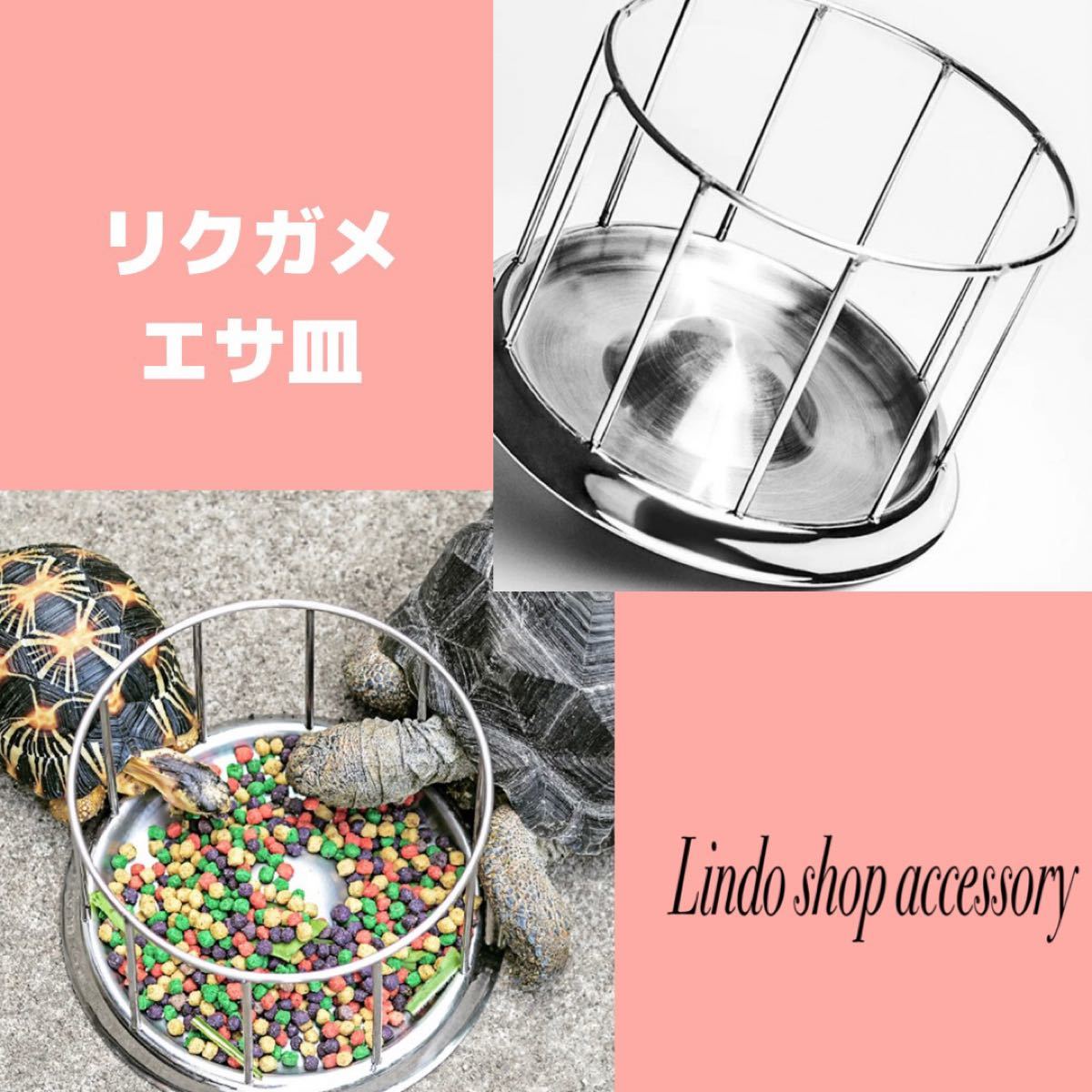 豪華で新しい リクガメ用 餌皿 リクガメ用 餌皿