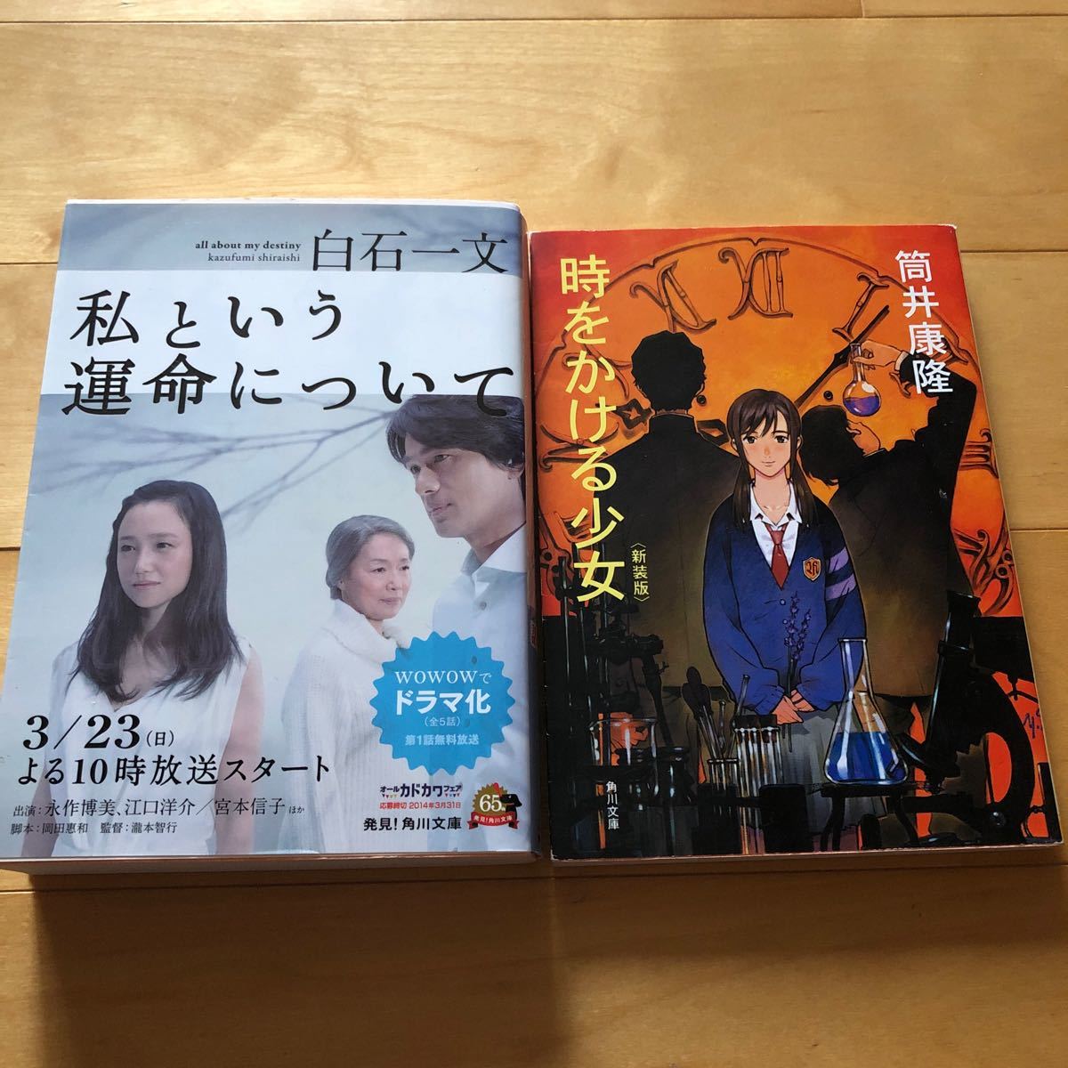 Paypayフリマ 文庫本 2冊 Paypayフリマ 文庫本 2冊