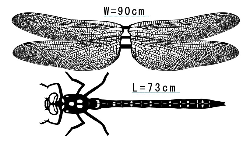 切り絵 トンボ両羽 超ロング９０ｃｍ+胴体７３ｃｍ（２パーツ）-