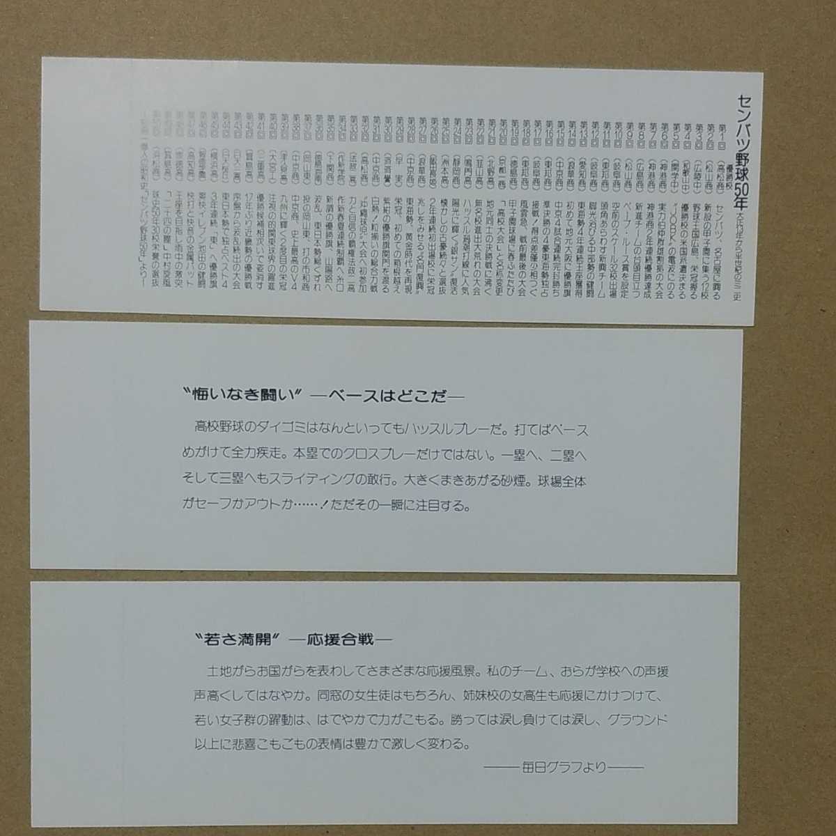 阪神電車　第５１回選抜高校野球大会記念乗車券　３種セット　未使用品_画像3