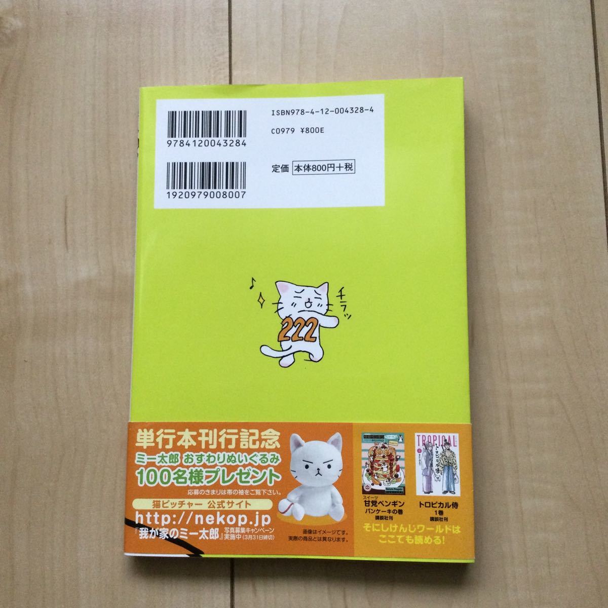 猫ピッチャー　1巻 そにしけんじ