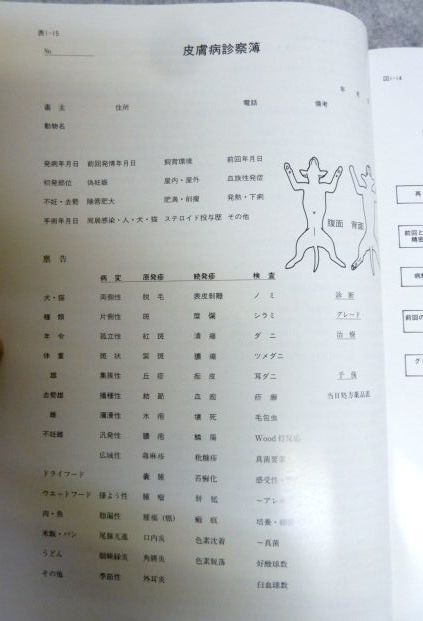 新犬内分泌性皮膚炎病 カラーアトラス　米倉督雄 著_画像8