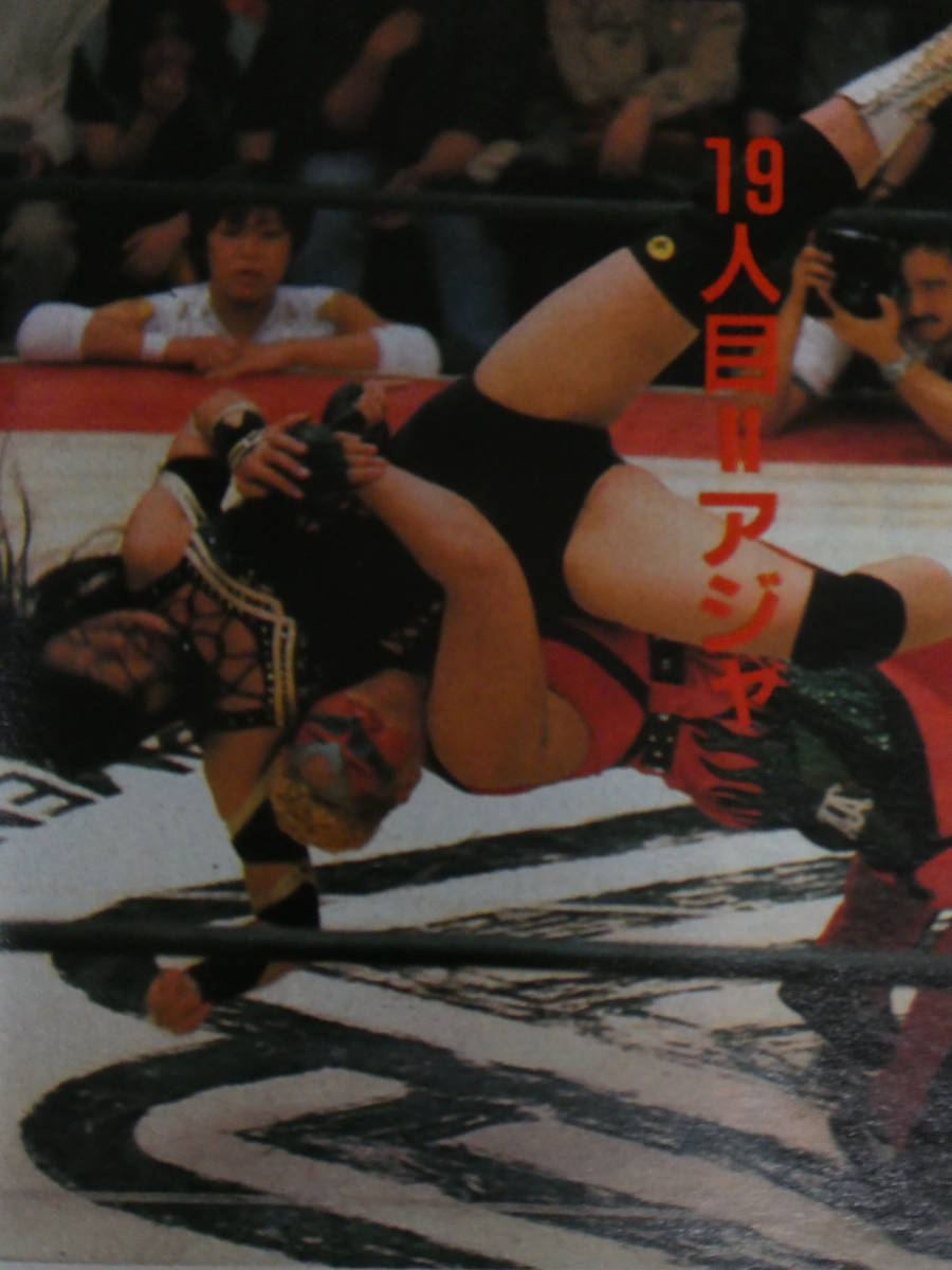 週刊プロレス1996年1月23日号 全日本女子プロレス後楽園ホール大会　豊田真奈美クイーズ・ロード・トライアル30　長谷川咲恵、下田美馬、_画像8