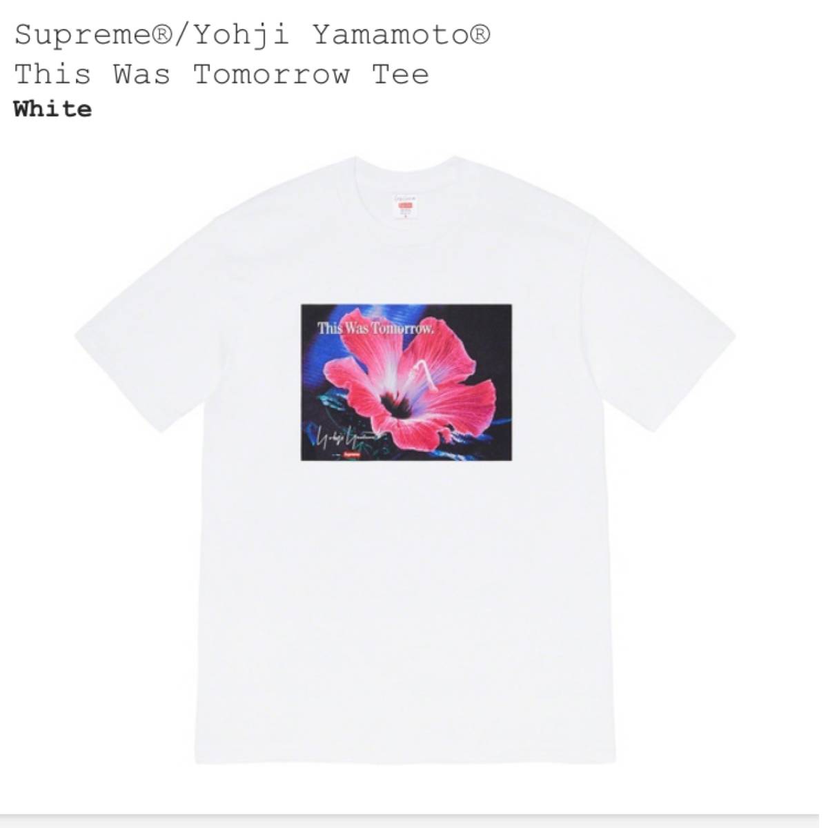 Supreme Yohji Yamamoto This Was Tomorrow Tee White Small 20FW 国内正規品 シュプリーム 新品未使用 Sサイズ ヨウジヤマモト 山本耀司