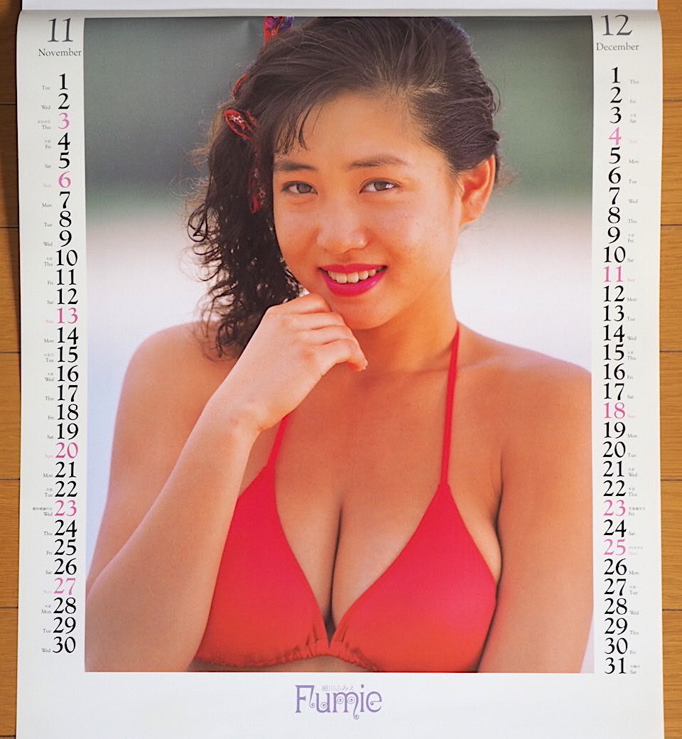 1994 год Hosokawa Fumie B3 календарь не использовался хранение товар 