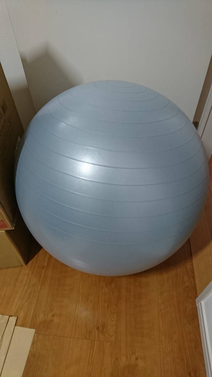 ニトリ エクササイズ ボール サイズ 65cm 正規店