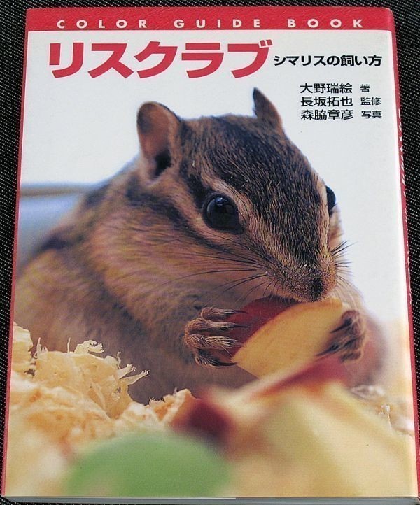 * beautiful goods immediate payment * squirrel Club -sima squirrel. .. person l base knowledge ( world. squirrel / japanese squirrel ) kind raw .sima squirrel breeding guide breeding human work child care kega. sick .#dy