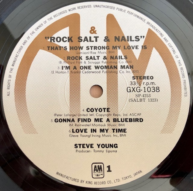 LP■ROCK/STEVE YOUNG/ROCK SALT & NAILS/A&M GXG-1038/国内盤 77年プレス 初回帯付 極美品/スティーヴ・ヤング/ブラックホーク99選の名盤_画像4