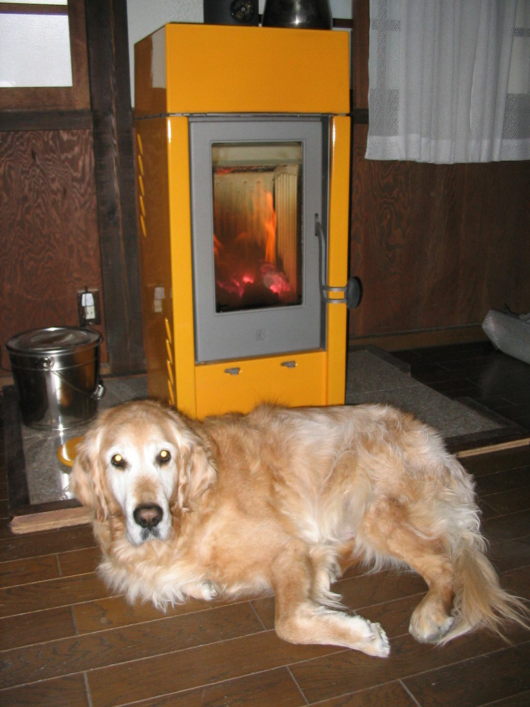  wood stove insulation smoke . two -ply smoke .. board exterior Italy made stylish stove piace ta company manufactured pe let E915 E916
