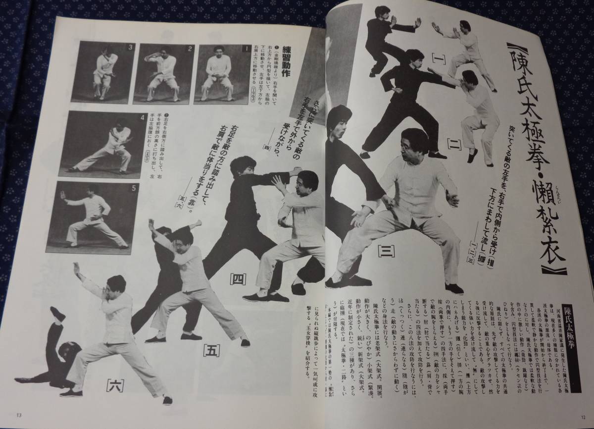 ヤフオク 武術入門 うーしゅう入門 月刊空手道別冊