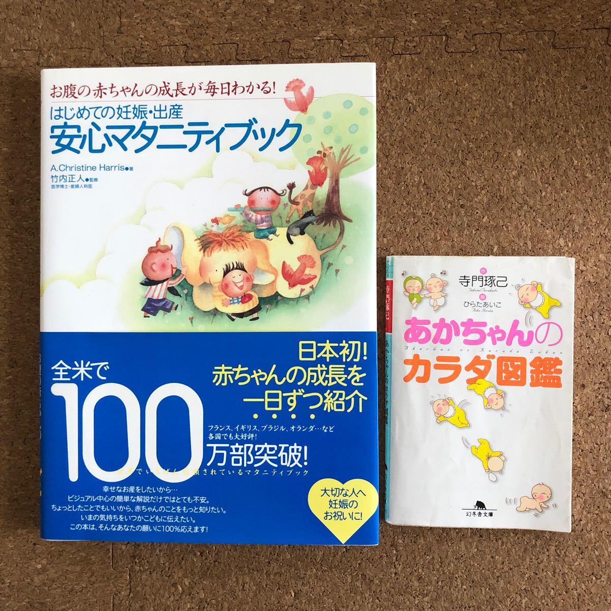 Paypayフリマ はじめての妊娠 出産安心マタニティブック お腹の赤ちゃんの成長が毎日わかる